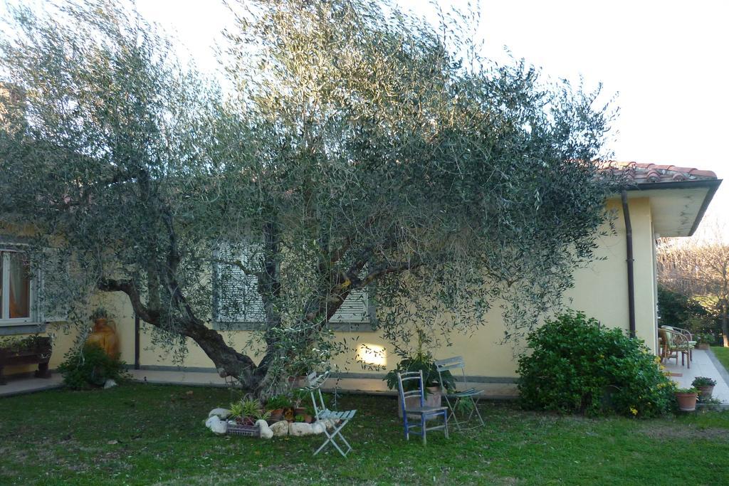 B&B Alle Terme Βιτέρμπο Εξωτερικό φωτογραφία